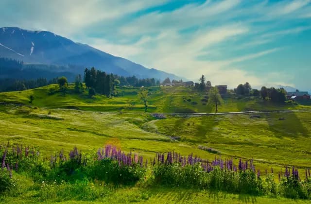 Gulmarg - destination - Gopedia