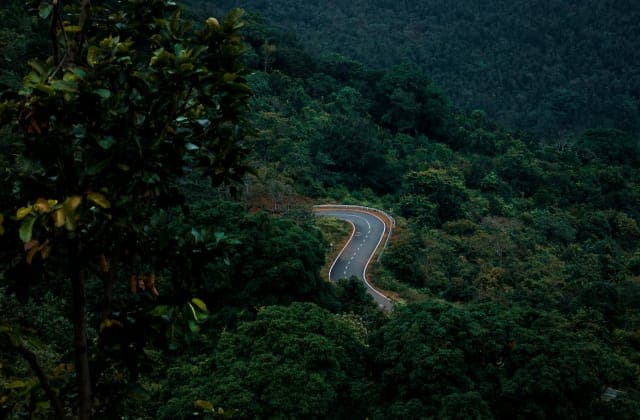 Wayanad - destination - Gopedia