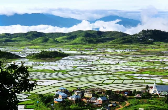 Ziro - destination - Gopedia