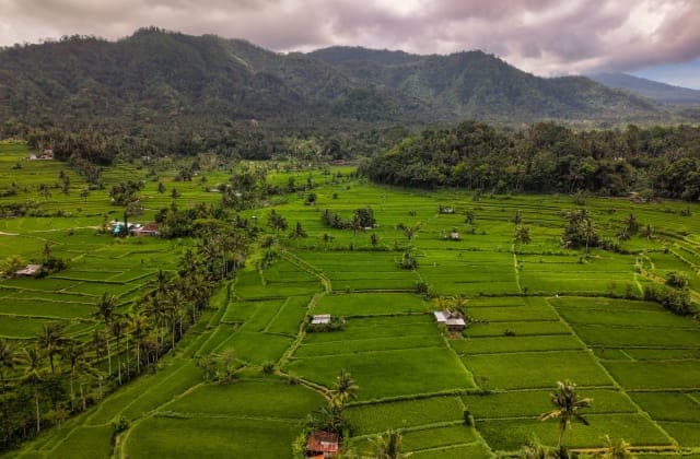 Ubud - destination - Gopedia
