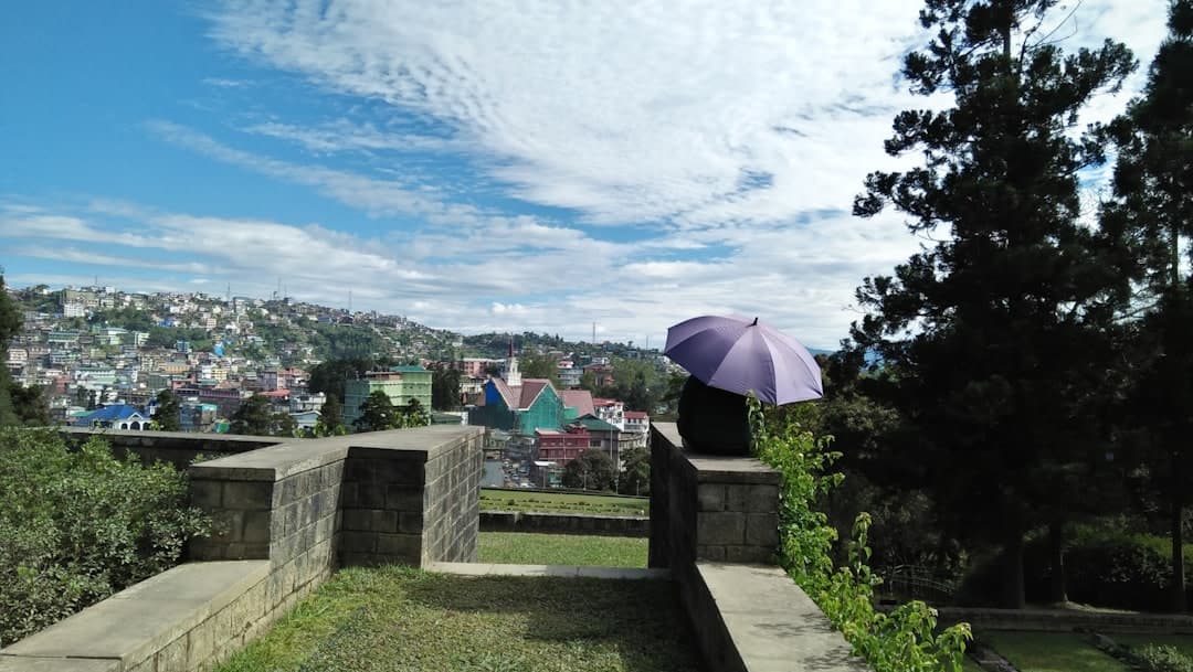 Nagaland - state travel guide hero - Gopedia