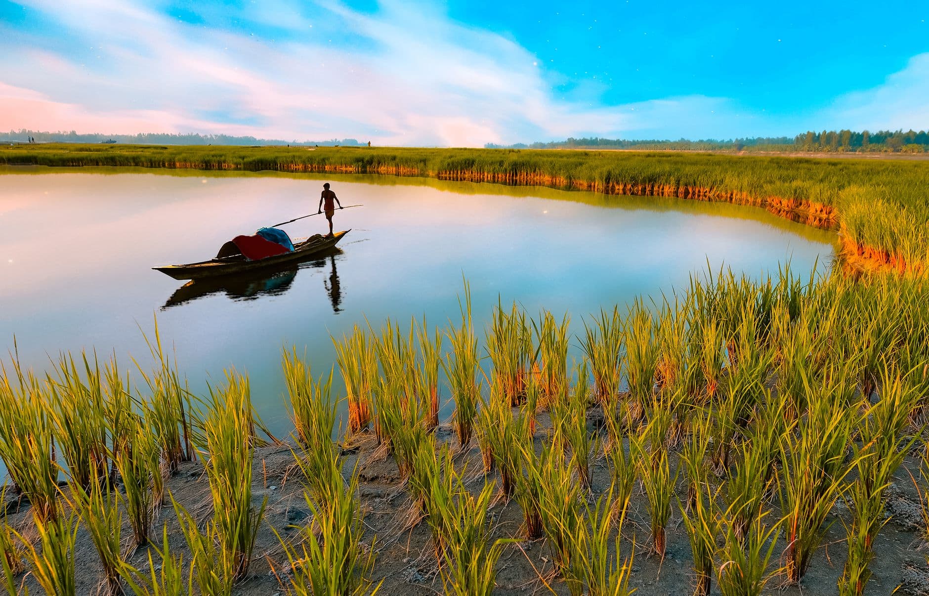 Assam - state travel guide hero - Gopedia