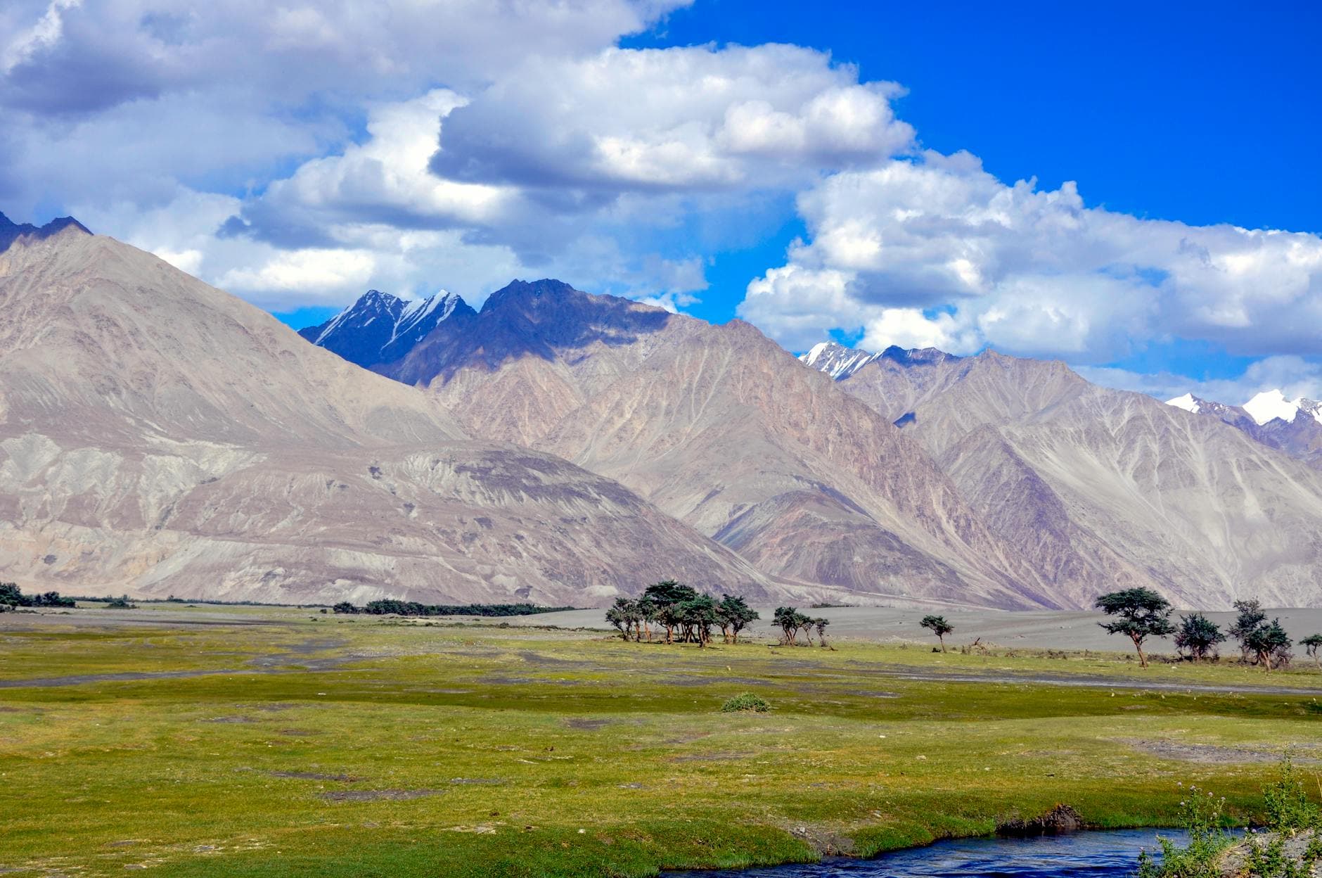 Nubra Valley, Ladakh, India — near Pahalgam